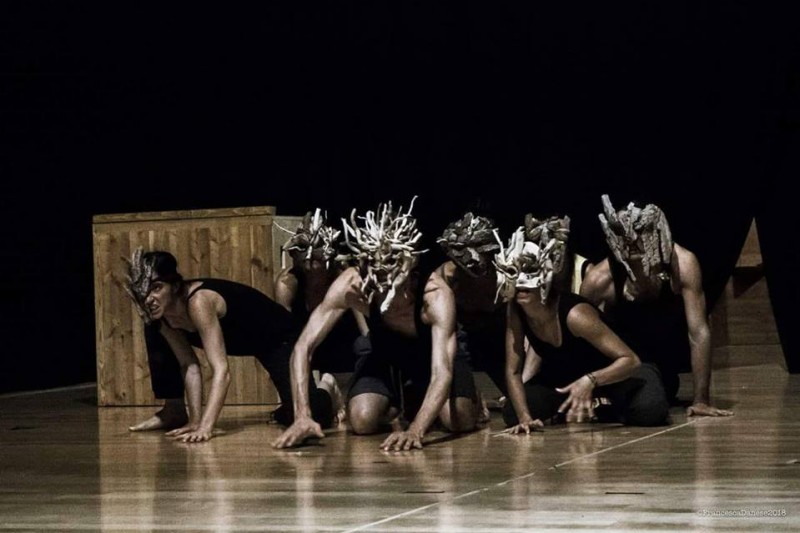 Moma Physical Theatre con &quot;MEDEA: a Work in Progress&quot;