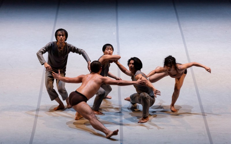 T.H.E. Dance Company in &quot;Invisible habitudes&quot;, coreografia Kuik Swee Boon. Foto Giulia Di Vitantonio