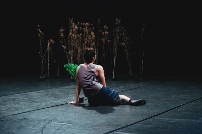 &quot;Tiny&quot;, coreografia Annamaria Ajmone. Foto Michelle Von Savino