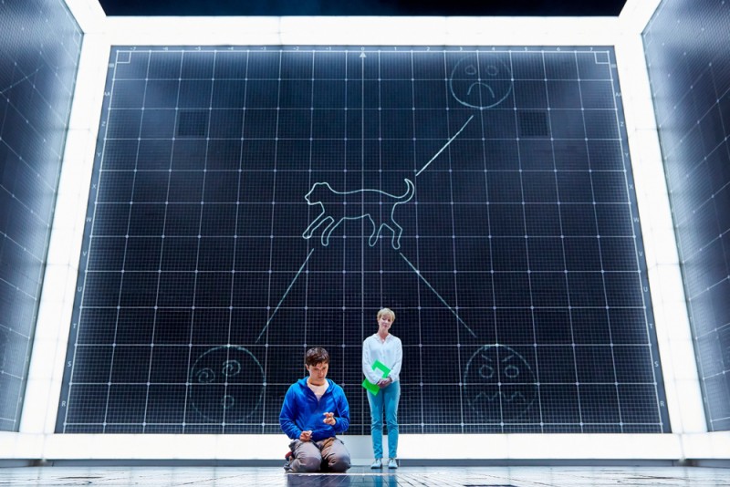 Joshua Jenkins (Christopher) in &quot;The Curious Incident of the the Dog in the Night-Time&quot;. Foto di BrinkhoffMögenberg