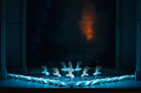 "Il lago dei cigni", coreografia Rudolf Nureyev da Marius Petipa e Lev Ivanov. Foto Yonathan Kellerman, Opéra national de Paris